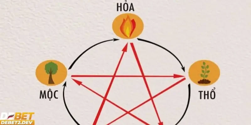 Tìm hiểu chung về soi cầu ngũ hành là gì?